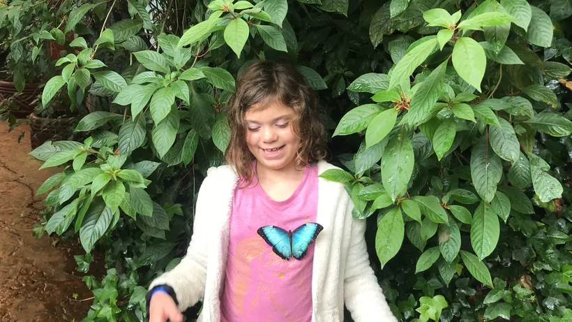 A young girl smiling as a blue morpho butterfly rests on her at the butterfly farm near San Ramón, Costa Rica