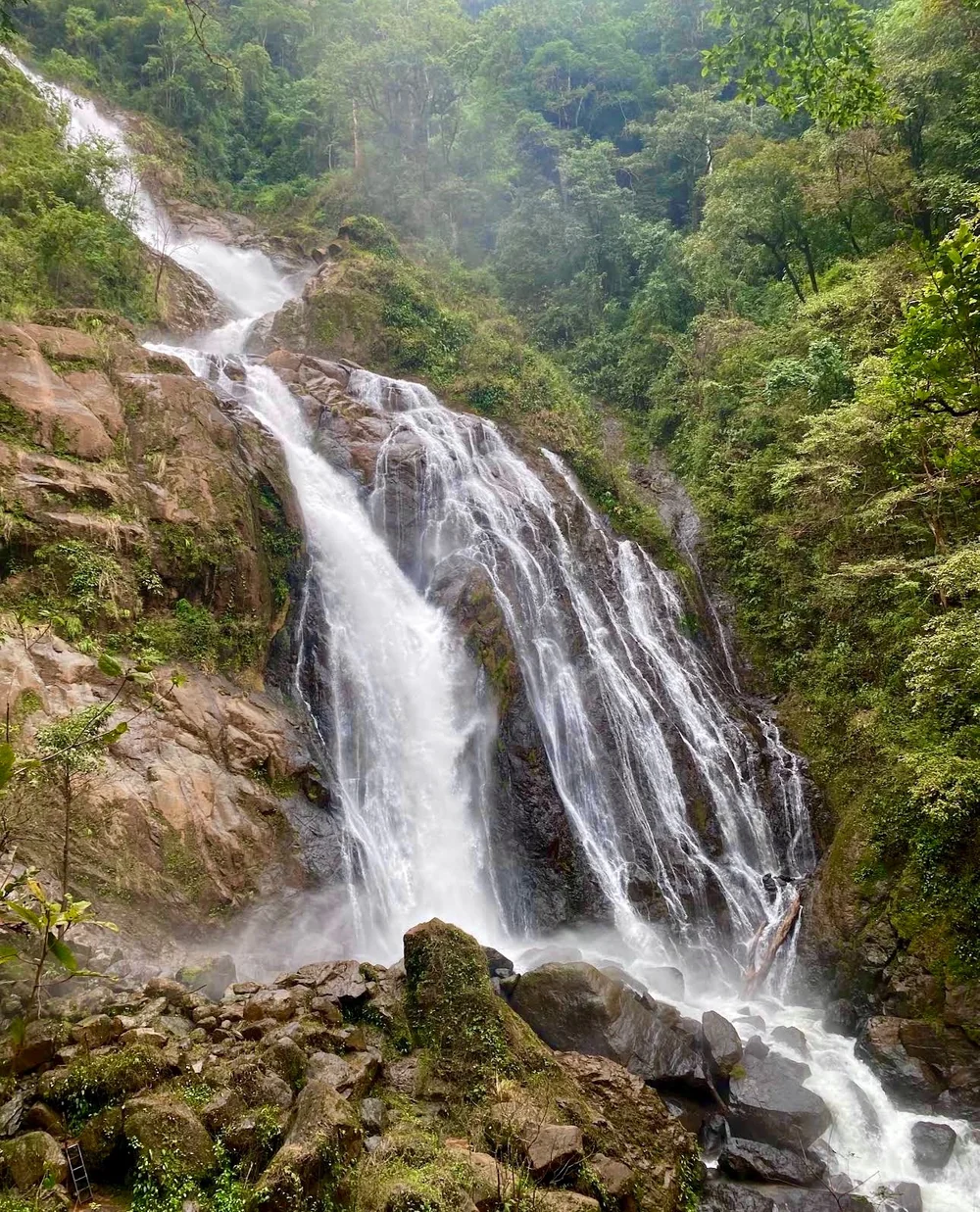 Catarata Bijagual waterfall plunging down a jungle cliff in Costa Rica