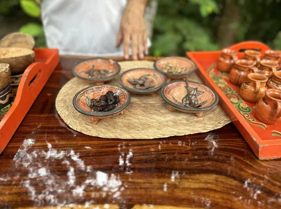 Making chocolate by hand on the Choco Tour near Bella Vista, Costa Rica