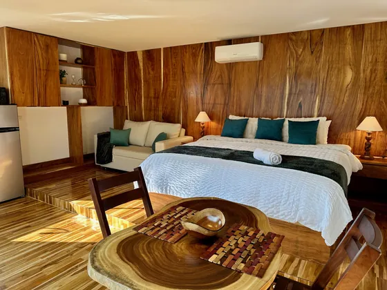 The Treehouse at Bella Vista Private Resort in Costa Rica — photo 8