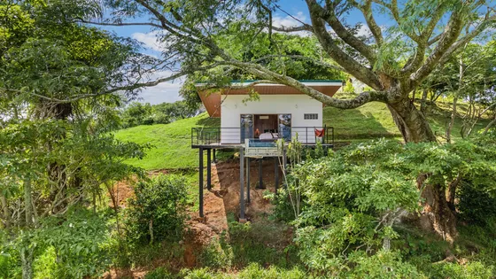The Treehouse at Bella Vista Private Resort in Costa Rica — photo 18