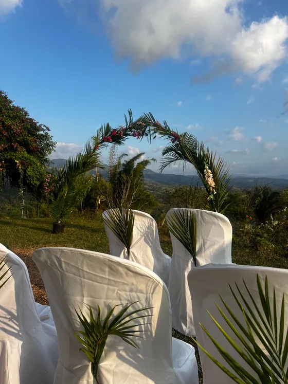 Bella Vista Costa Rica — photo 28